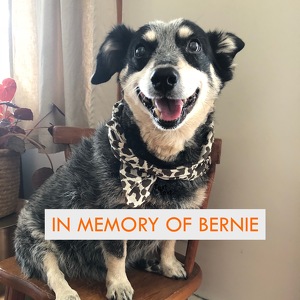 Fundraising Page: Jill Rizzo